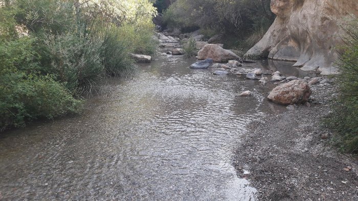 Imagen 2 de Los Canales de Padules