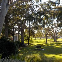 Shady seating