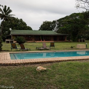Nyala Lodge lawn and chalets.