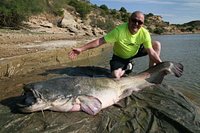 Monster cat fish,ton up club - Review of Pro Predator Fishing