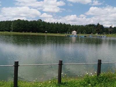 San Mateo Atenco, Mexico 2023: Best Places to Visit - Tripadvisor