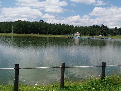 San Mateo Atenco, Mexico 2023: Best Places to Visit - Tripadvisor San Mateo Atenco, Mexico 2023: Best Places to Visit - Tripadvisor