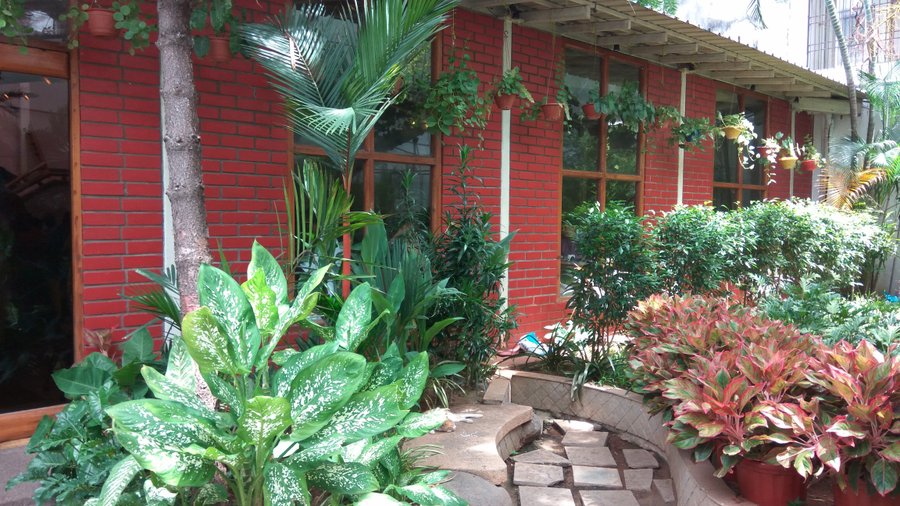 Surguru Restaurant
