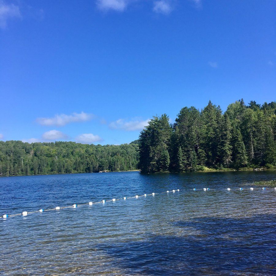 Coon Lake Campground - Reviews & Photos (Algonquin Provincial Park ...