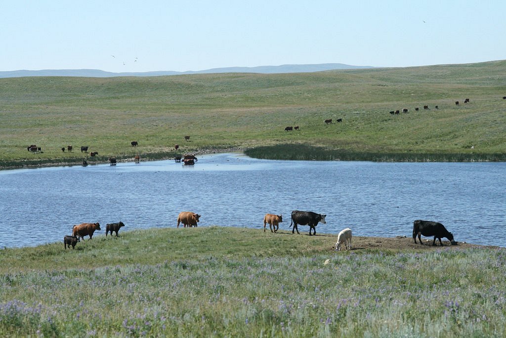 TWIN RIVER HERITAGE RANGELAND NATURAL AREA (Warner) All You Need to