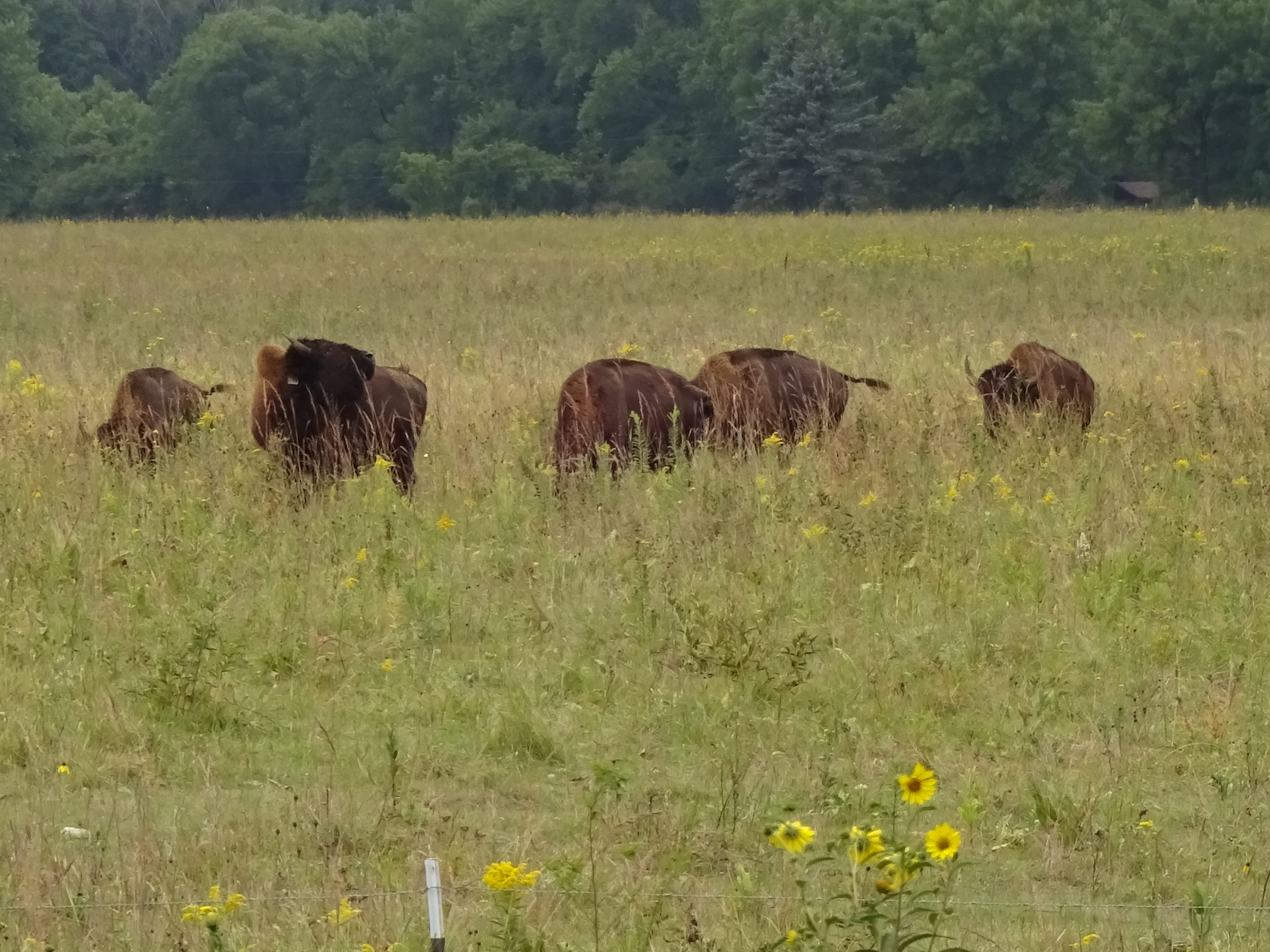 THE 10 BEST Minnesota Nature & Wildlife Areas (Updated 2024)