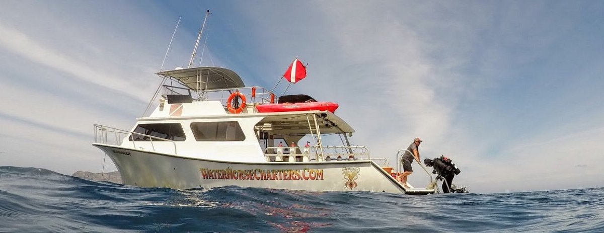 Waterhorse Charters (San Diego) - All You Need to Know BEFORE You Go