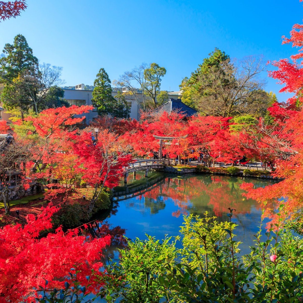 永観堂禅林寺 口コミ 写真 地図 情報 トリップアドバイザー