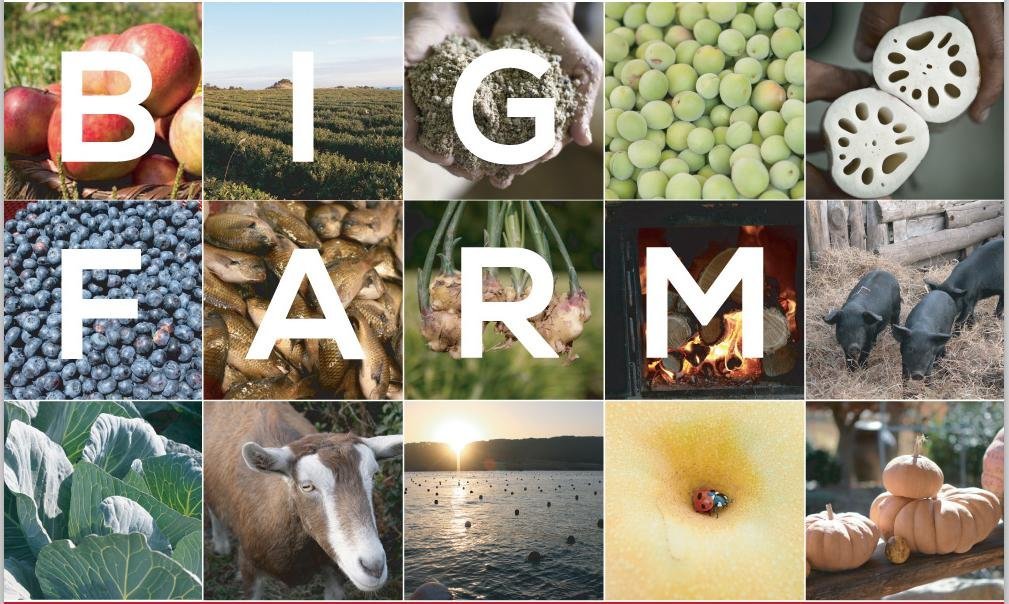 BIGFARM COMPANY - 서울 - BIGFARM COMPANY의 리뷰 - 트립어드바이저