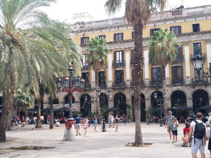 Imagen 10 de Placa Reial