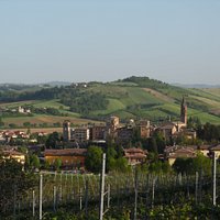 Vista dai filari di Grasparossa