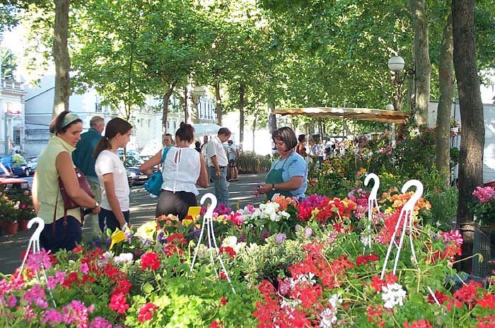 Marché aux fleurs