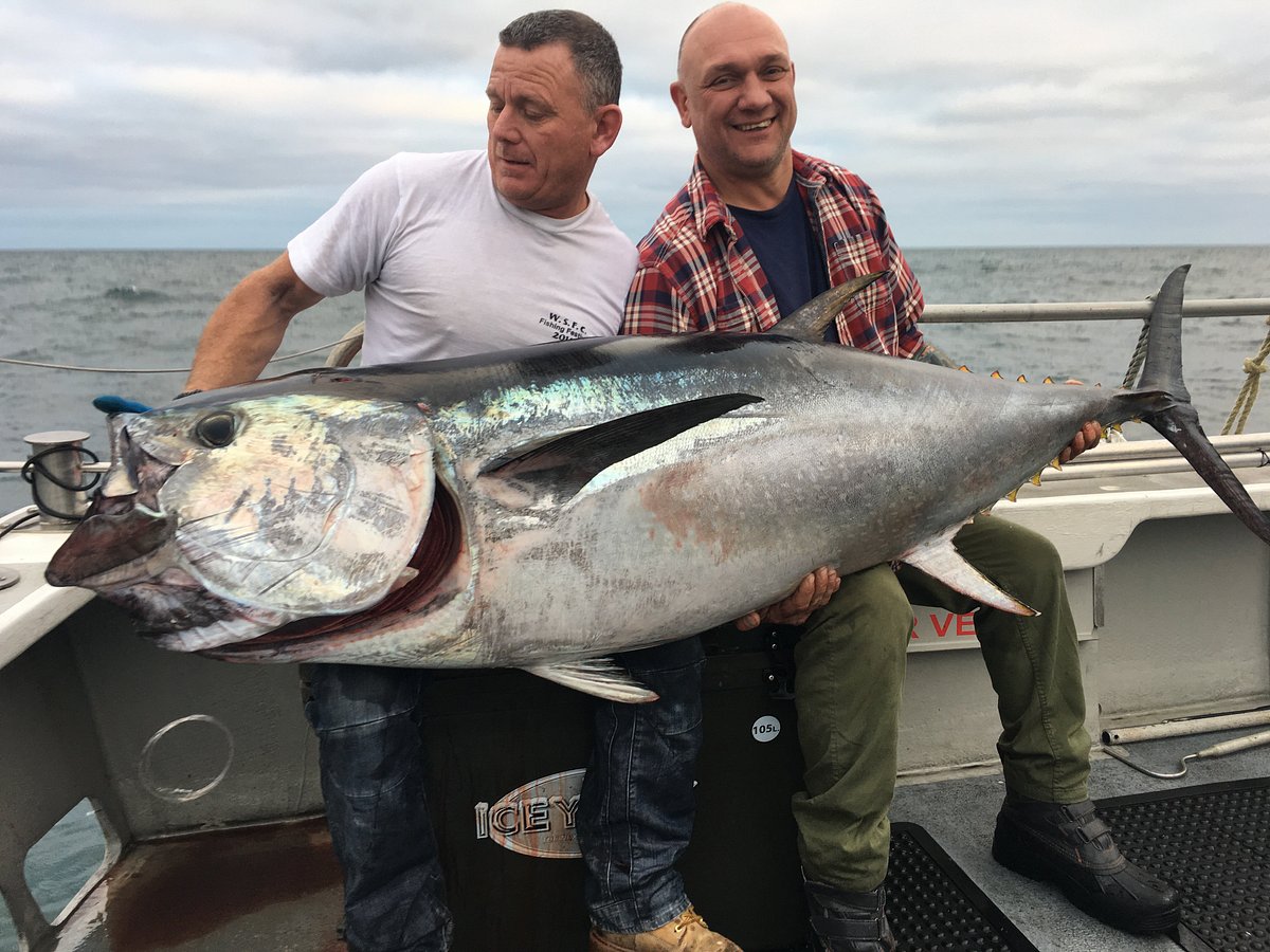 Cornish Shore and Kayak Fisherman: October 2021