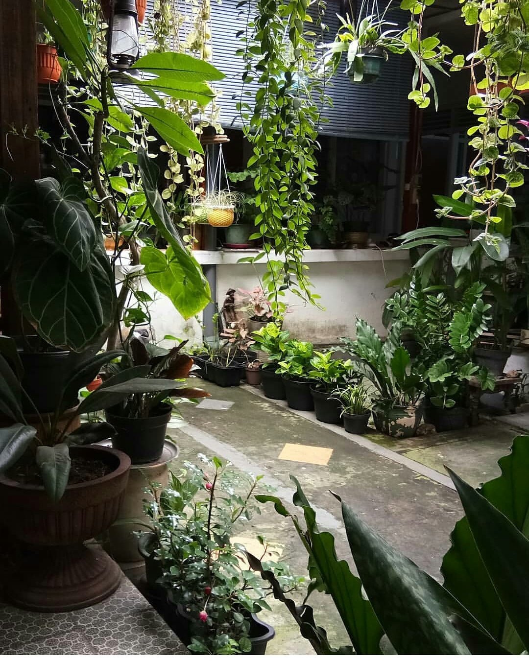 KAMPOONG HOMESTAY MALANG (INDONÉSIA): 23 fotos e avaliações - Tripadvisor