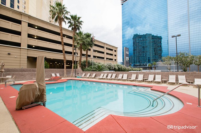 MGM Grand Pool Pictures & Reviews - Tripadvisor