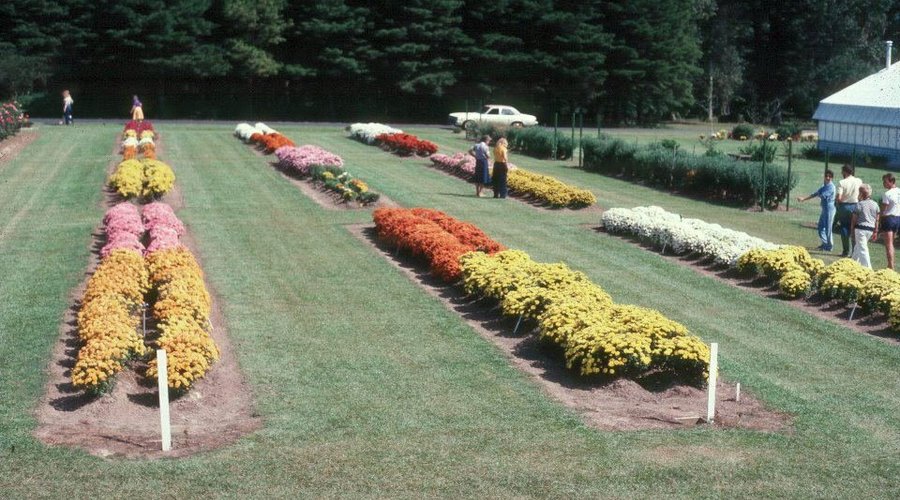 AgCenter Botanic Gardens