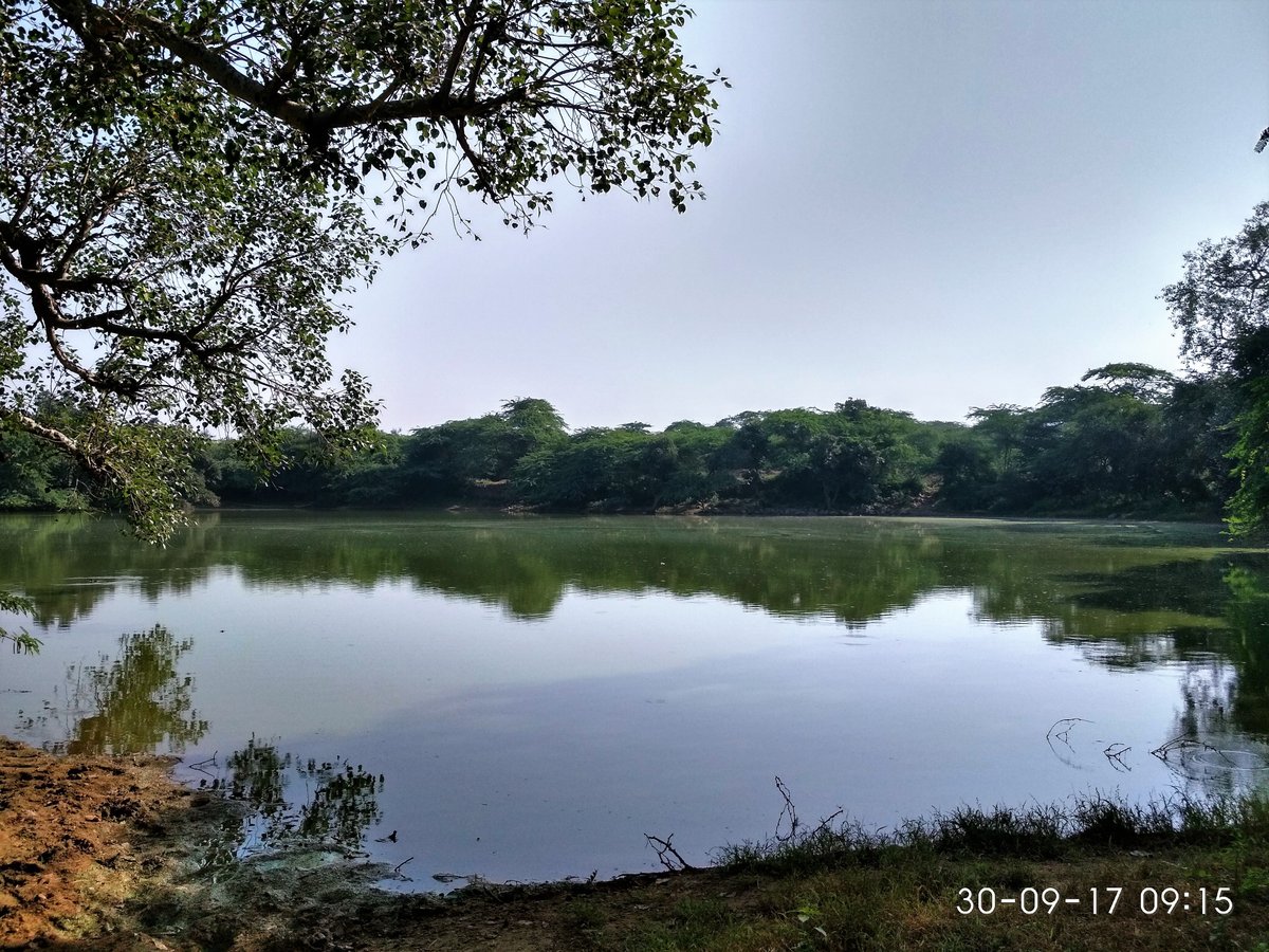 The Lost Lake (Gurugram (Gurgaon)) - What To Know Before You Go