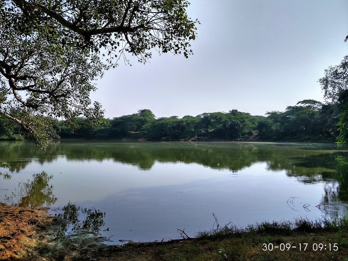 THE LOST LAKE (Gurugram (Gurgaon)) - What to Know Before You Go