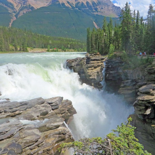 MALIGNE CANYON (Jasper) - 2023 What to Know BEFORE You Go