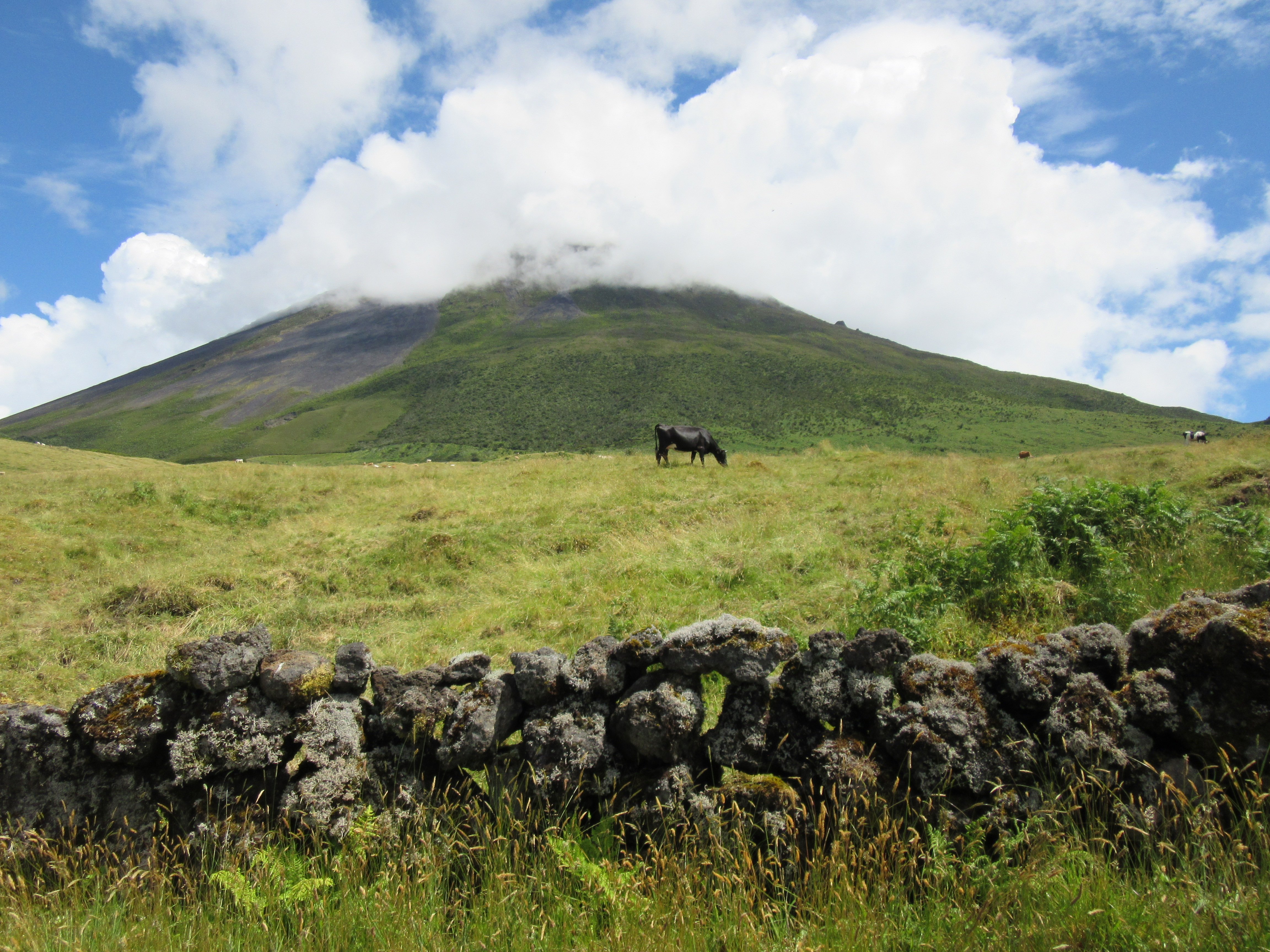 Pico Mountain (Montanha Do Pico) (Portugal) - Review - Tripadvisor