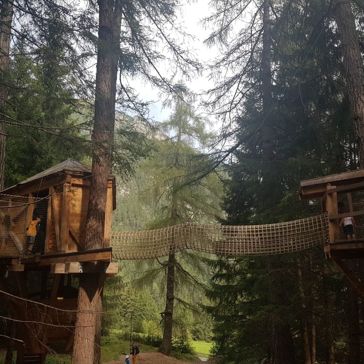 Stubai Tree House Trail, Фульпмес: лучшие советы перед посещением -  Tripadvisor