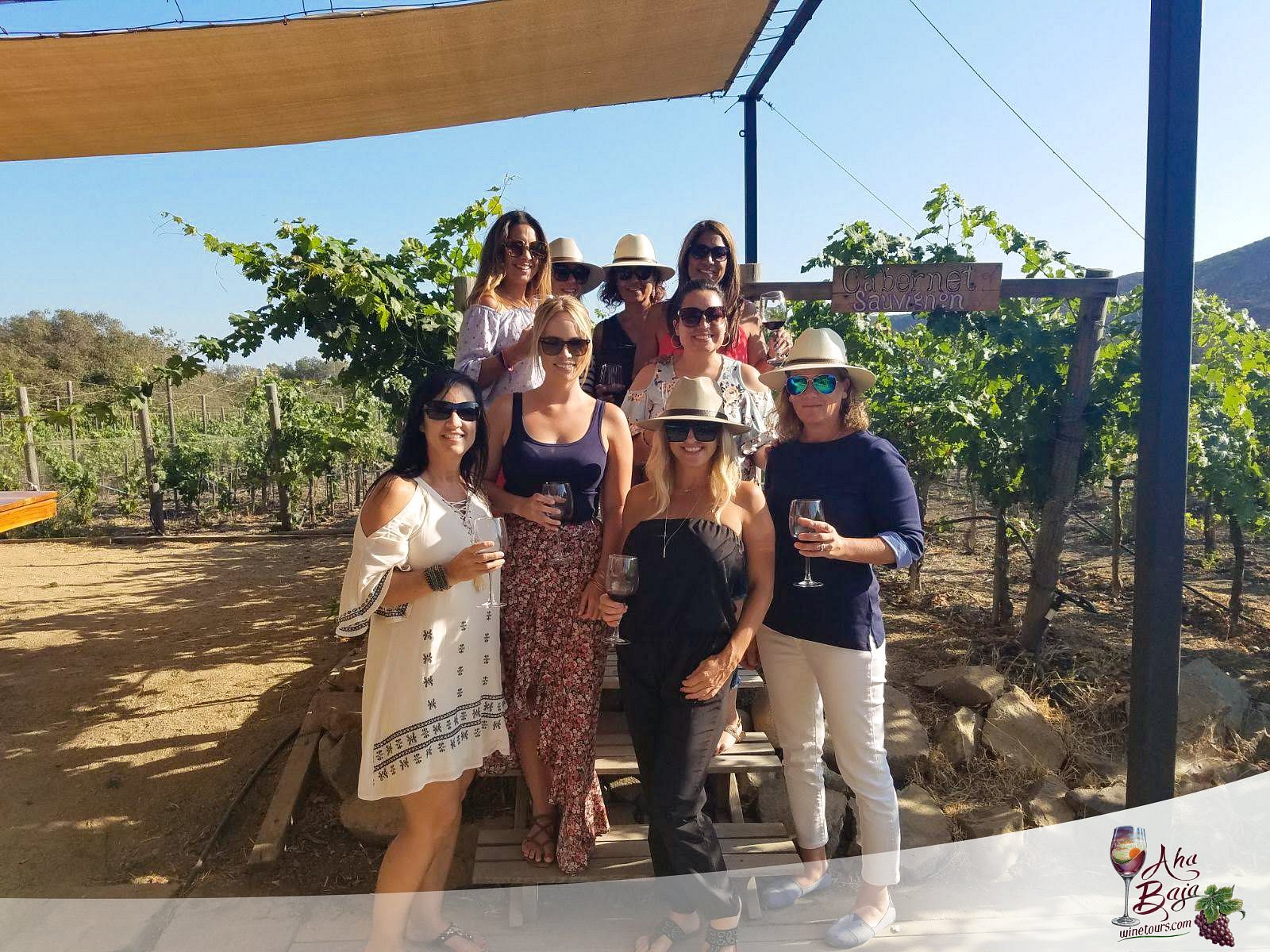 baja wine tours from san diego