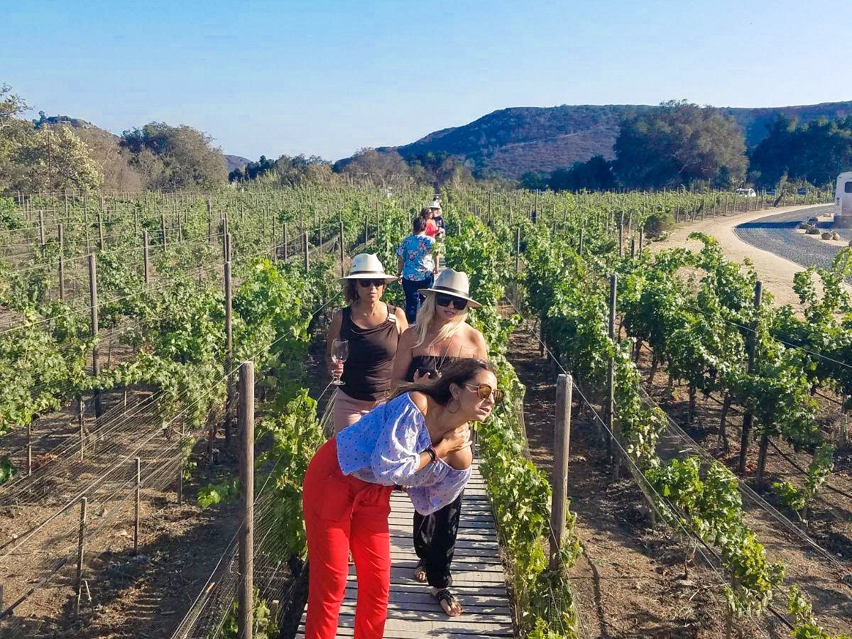 Baja Three Day Wine Gourmet Food Tour- Baja Wine Tour Overnight- Vacation  Wine Mexico - Five Star Tours- Charter Transportation and San Diego  Activities and Sightseeing Tours