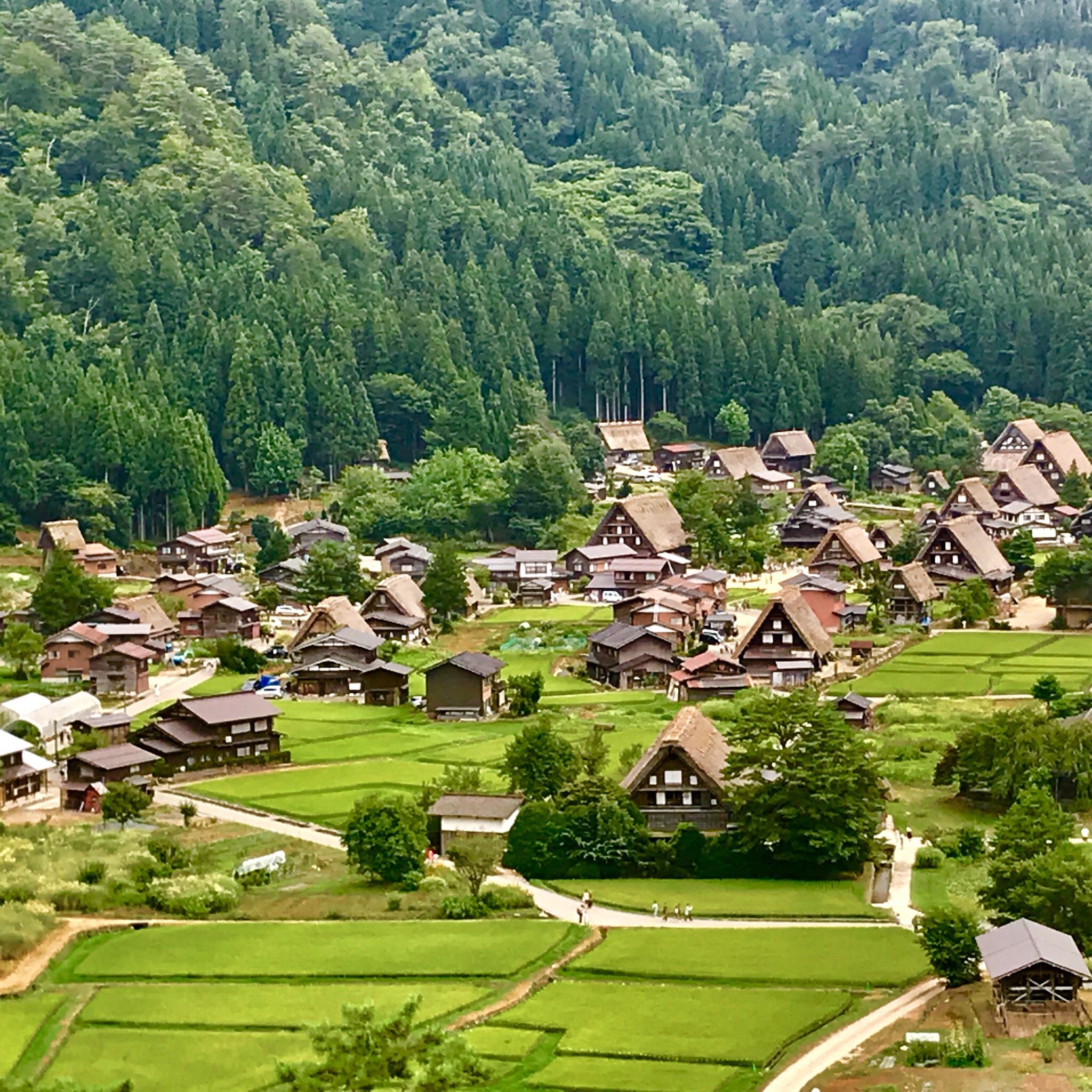 THE 10 BEST Hotels in Shirakawa-mura, Japan 2024 (from $27