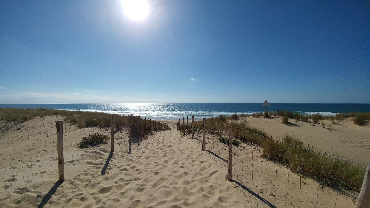 Cap store ferret beach