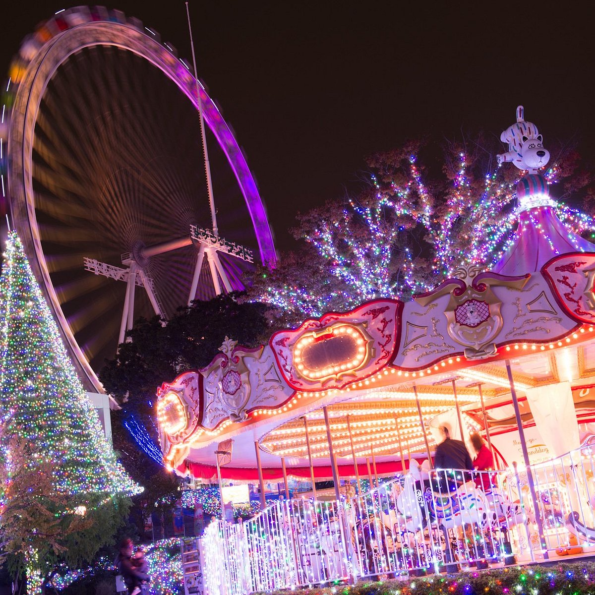 Yomiuri Land Tokyo Ce Qu Il Faut Savoir Pour Votre Visite 22