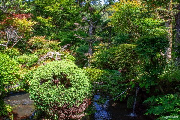田ノ浦斐玉堂にある日本庭園