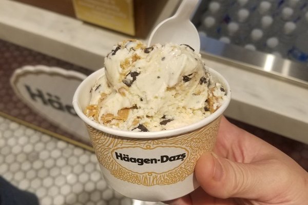 Best Ice Cream in Charlotte - Don't Just Fly