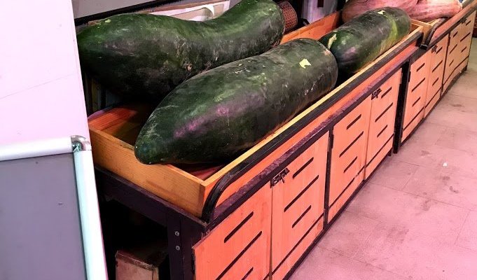 謎の巨大野菜