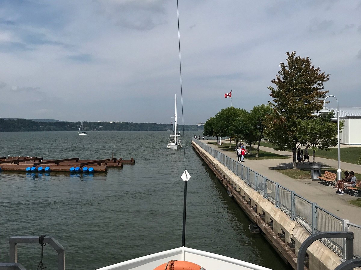 hamilton harbour tour