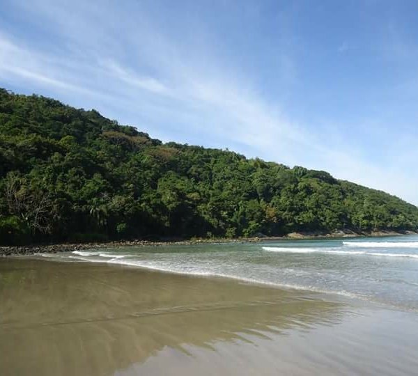 Praia do Arrastão (Sao Sebastiao) - All You Need to Know BEFORE You Go