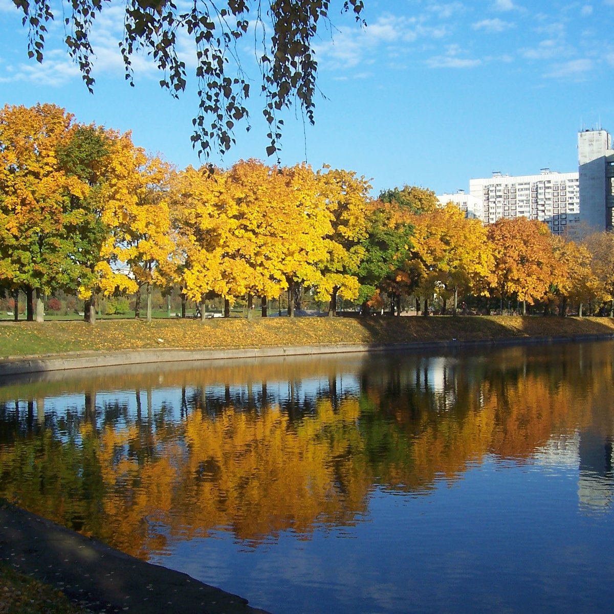 Парк дружбы Москва