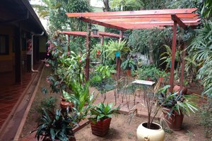 Habitación y suite