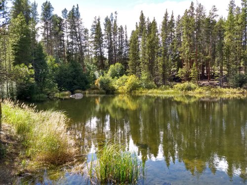 Los 10 mejores senderos para pasear en Leadville