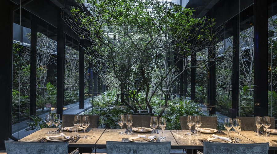 Botanical view while enjoying the enchanted dining experience