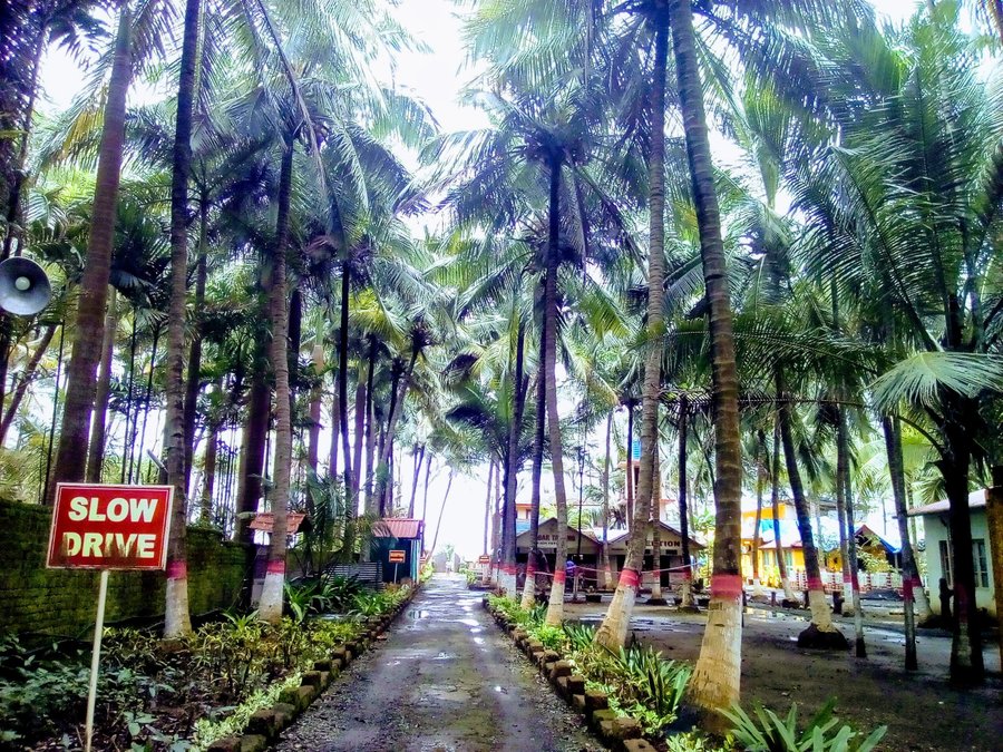 Sagar Tarang Beach Resort Hotel Reviews Alibaug India Tripadvisor Book now your hotel in alibaug and pay later with expedia.ca. sagar tarang beach resort hotel