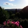Lynda2467