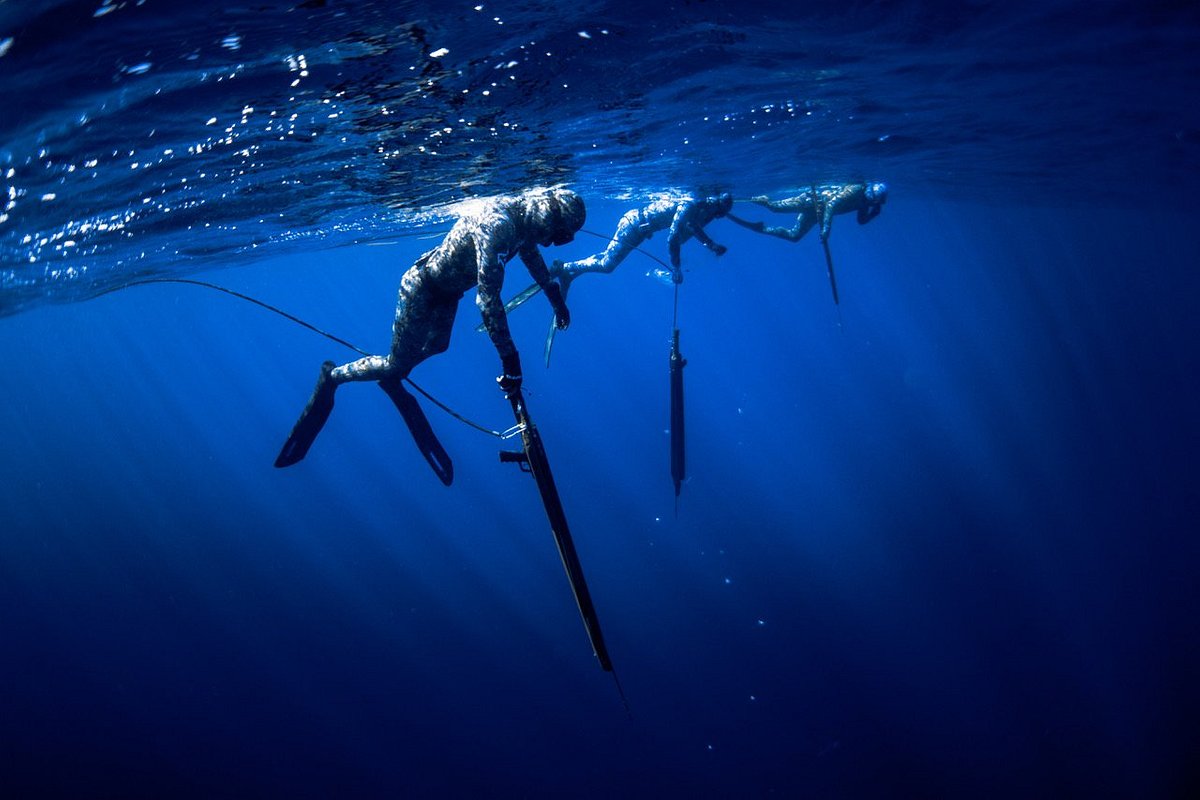 Bluewater Spearfishing Trip - NC Spearfishing