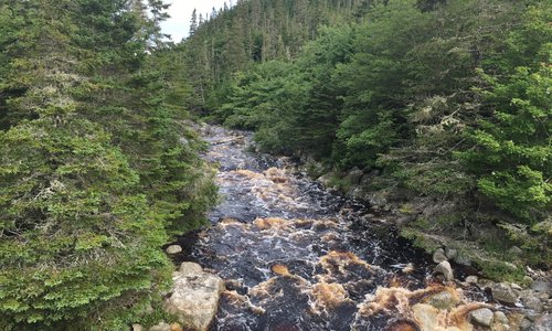 A large creek system found during hike and in close proximity to inn