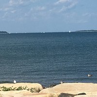 Wollaston Beach