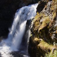 Moose Falls (Yellowstone National Park) - All You Need to Know BEFORE ...