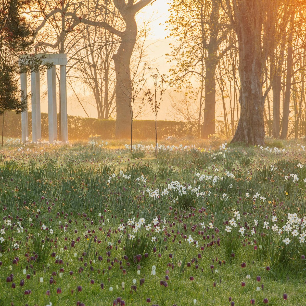 Клайв Николс