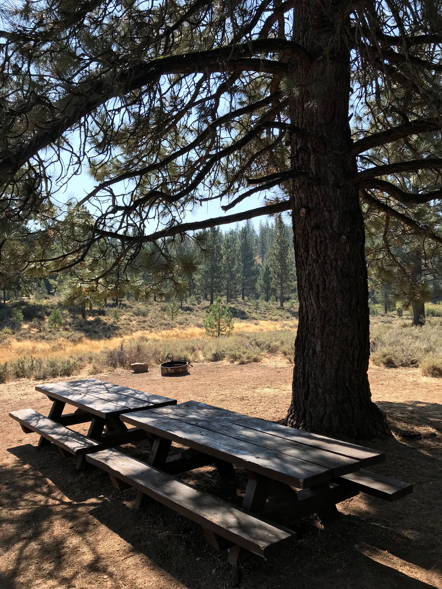 Chilcoot campground hotsell