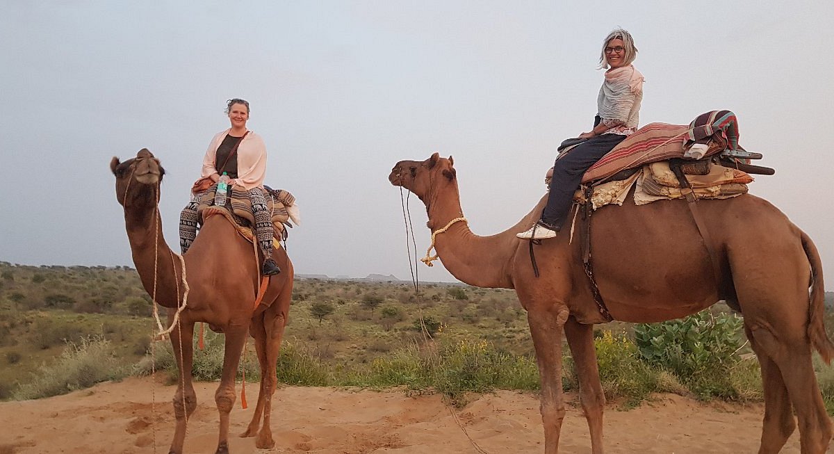 camel safari jodhpur