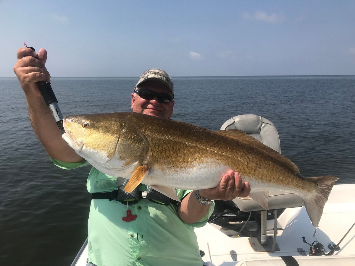 How to Catch a Redfish (The Complete Guide) - FYAO Saltwater Media