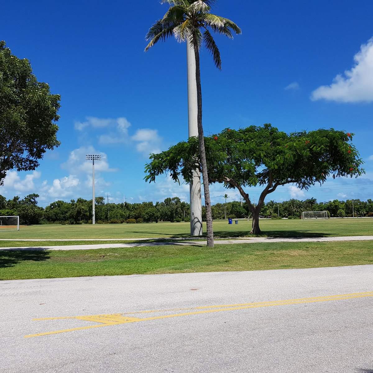 Founders Park (Islamorada) - All You Need to Know BEFORE You Go